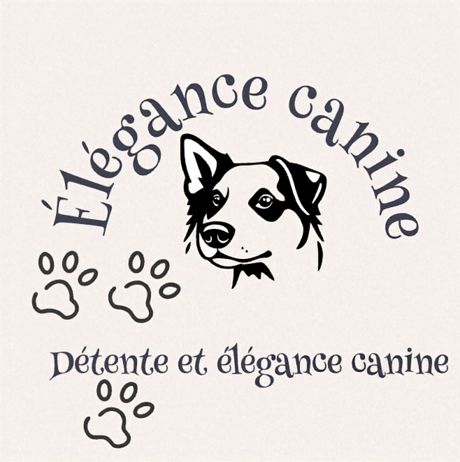 Élégance canine